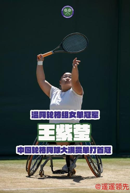 温网张天汇单打出局双打晋级 轮椅网球女单2胜2负