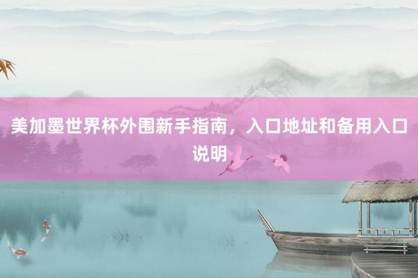 美加墨世界杯外围新手指南，入口地址和备用入口说明